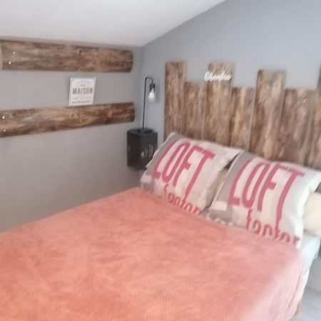 Апартаменты Chambre 23M2 Avec Jardin Wi-Fi Gratuit Saint-Girons Экстерьер фото