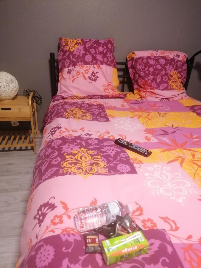 Апартаменты Chambre 23M2 Avec Jardin Wi-Fi Gratuit Saint-Girons Экстерьер фото